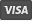 Visa payment card